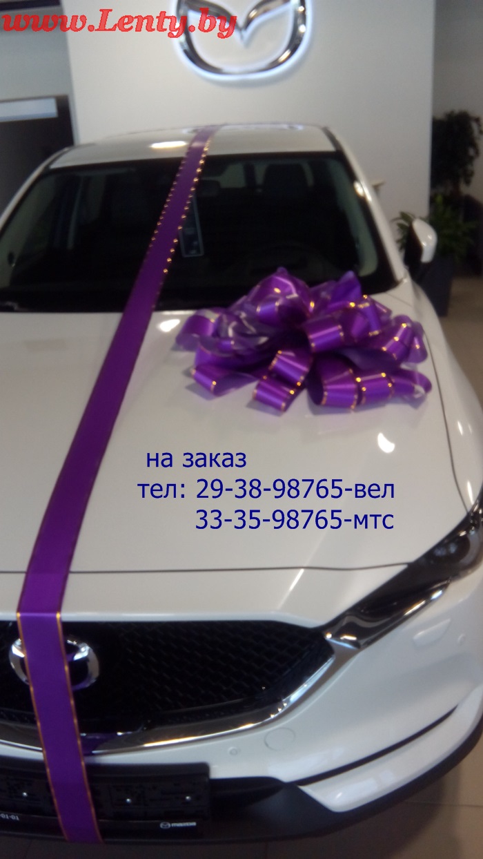 ���������� ����